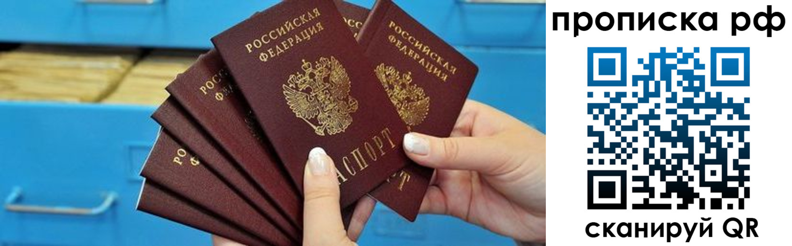 прописка поиск в Новозыбкове